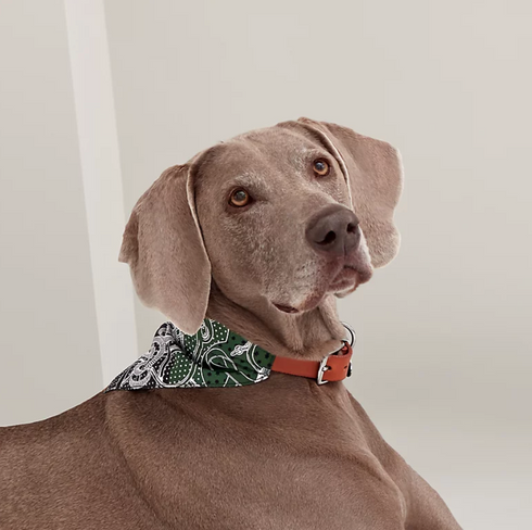 犬用バンダナ 《エプロン・ドール》 L